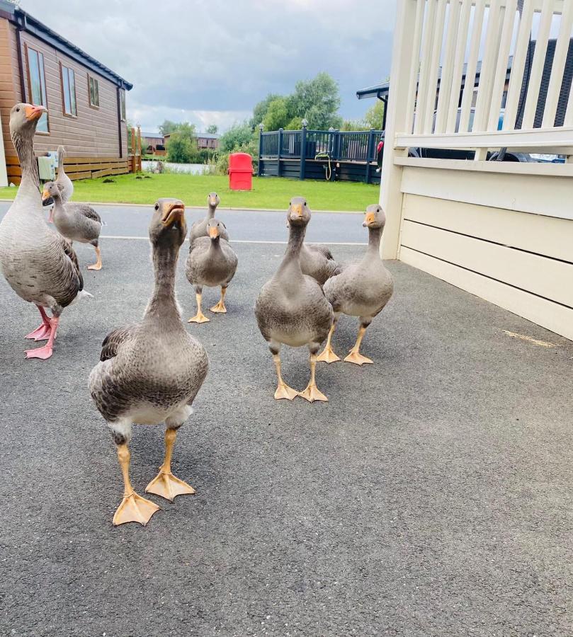 Tattershall Lakes Mini Breaks - Osprey Rise Hotel Exterior foto